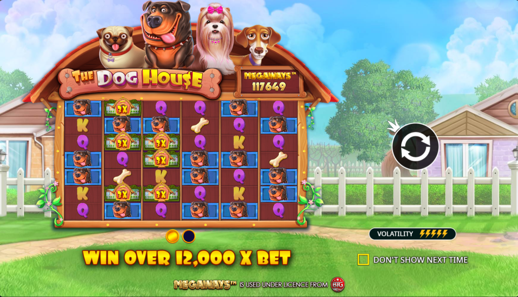 dog house gameplay