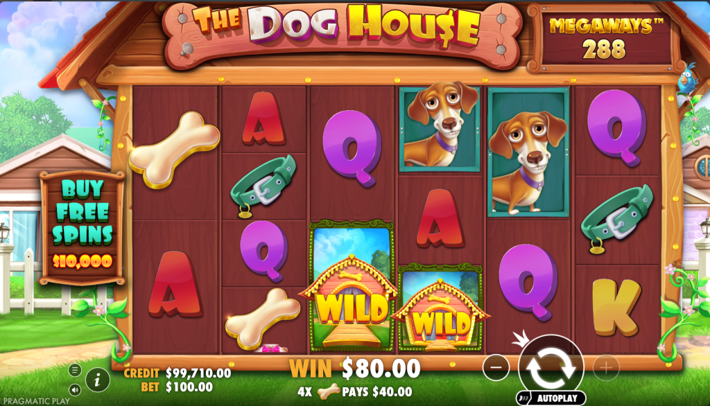 dog house megaways wins